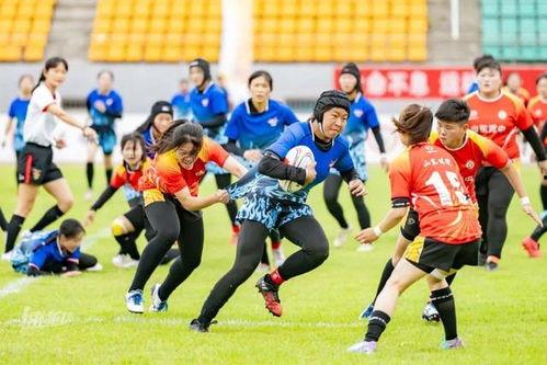 橄榄球协会爆料视频,揭秘橄榄球运动背后的精彩瞬间 第3张 橄榄球协会爆料视频,揭秘橄榄球运动背后的精彩瞬间 第3张